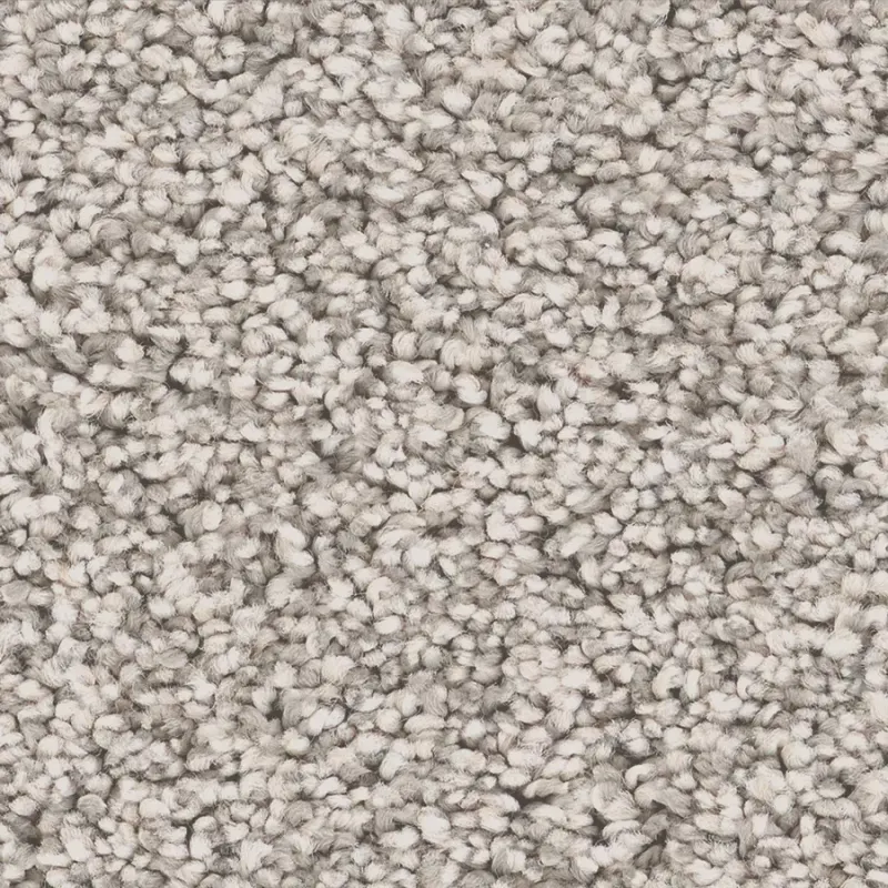 London Fog carpet swatch